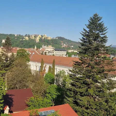 Appartement Floor With Great View